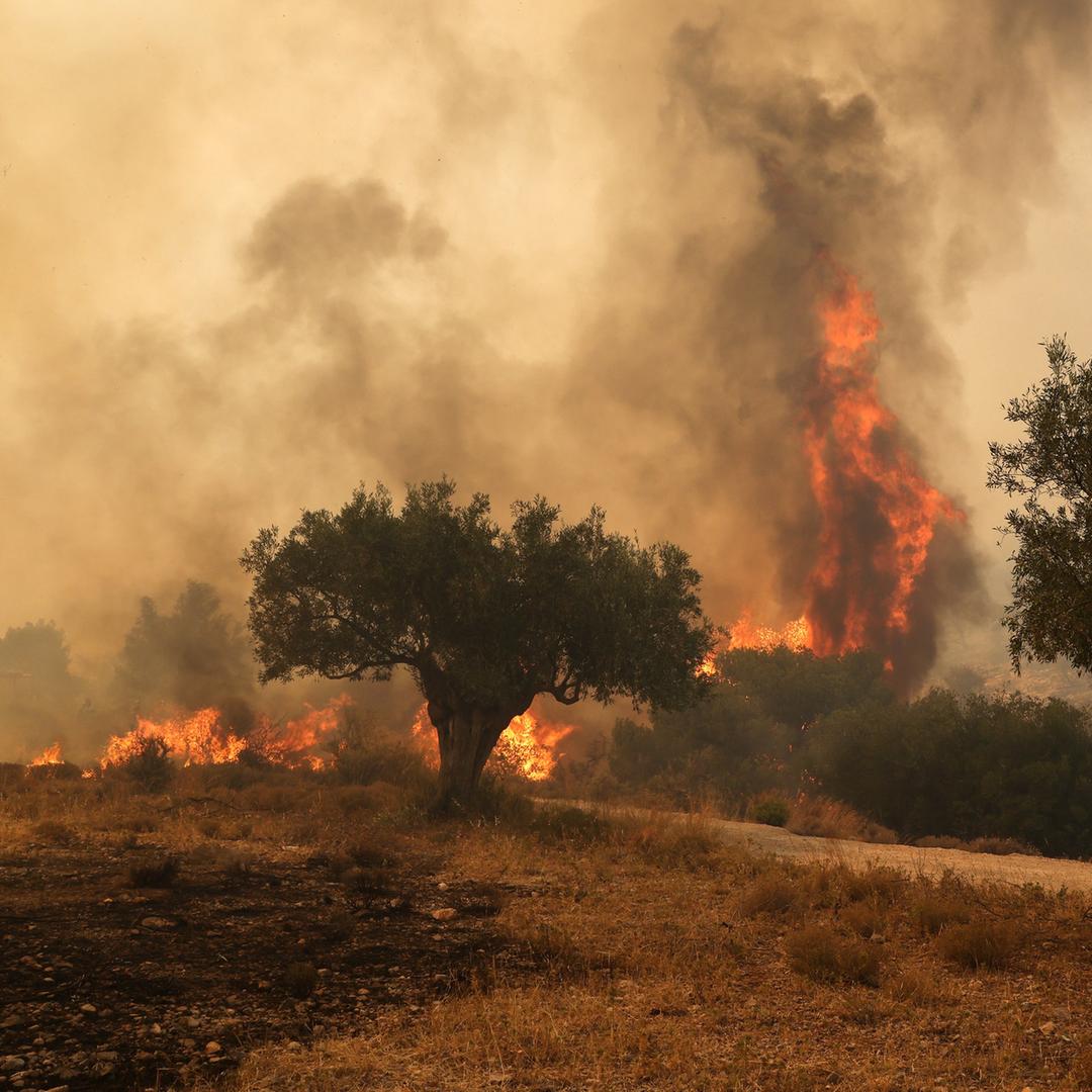 Waldbrand in der Nähe von Athen, Griechenland im Juli 2023