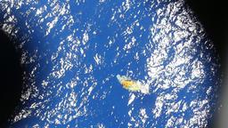 Donnerstag, 20. März: Vor Australien glaubt man Wrackteile auf Satellitenbildern zu erkennen.