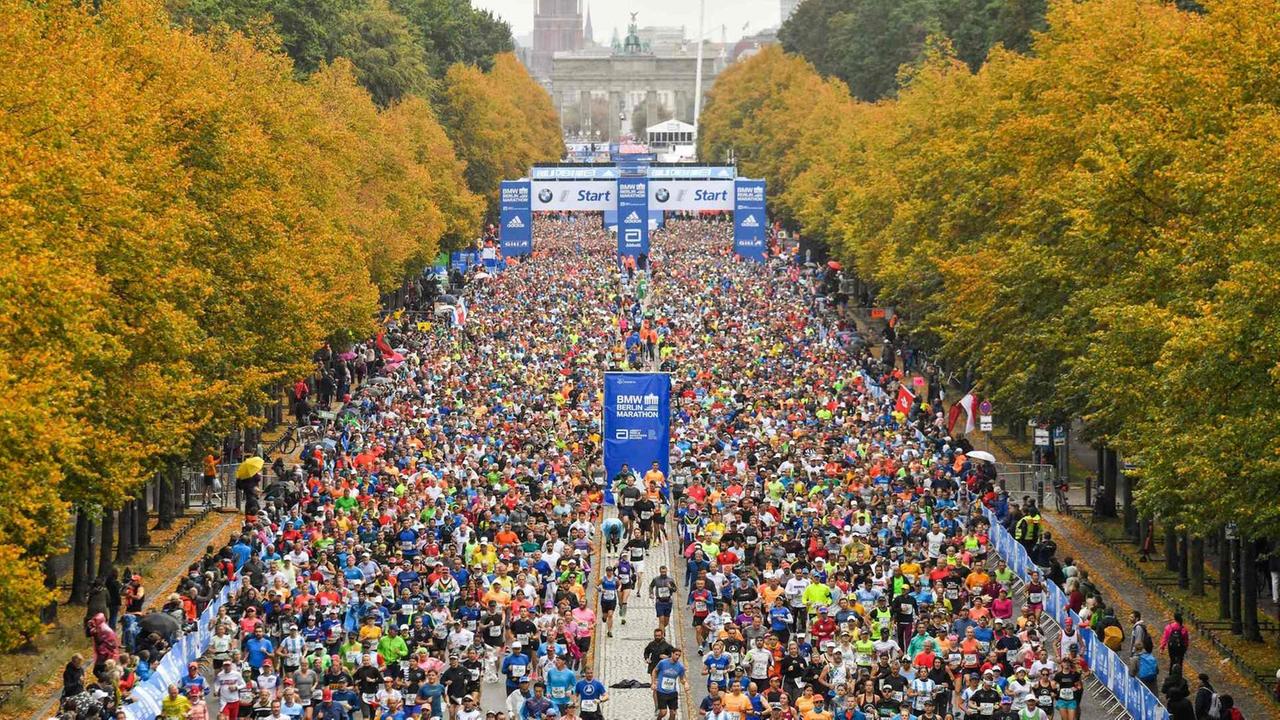 video berlin marathon die ard mittagsmagazin ard das erste