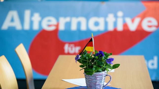 Bild: WDR/dpa Am Wochenende hält die AfD ihren Parteitag ab.