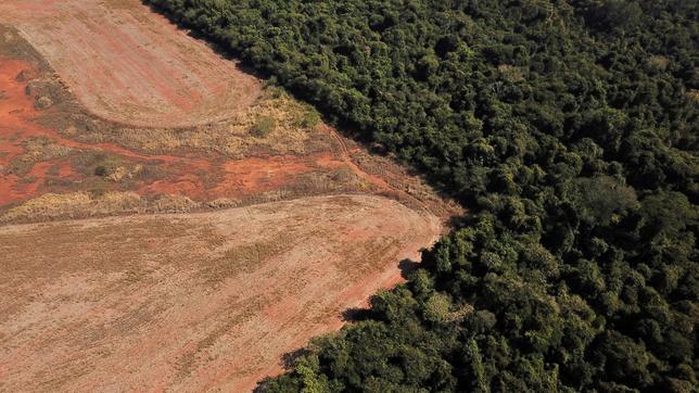 Eine Luftaufnahme zeigt die Abholzung in der Nähe eines Waldes an der Grenze zwischen Amazonien und Cerrado (28.07.2021).