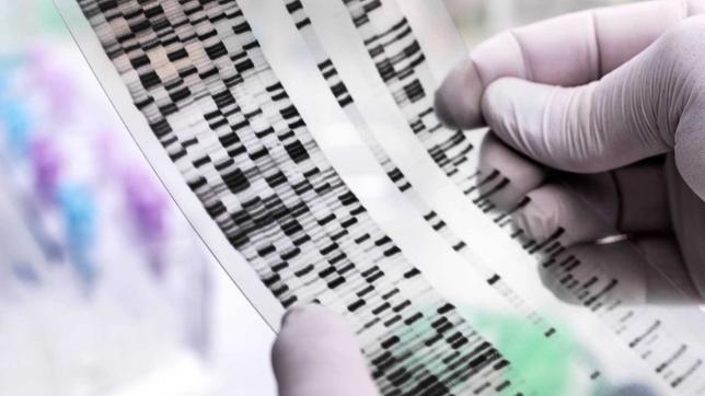 Gentest, DNA-Analyse