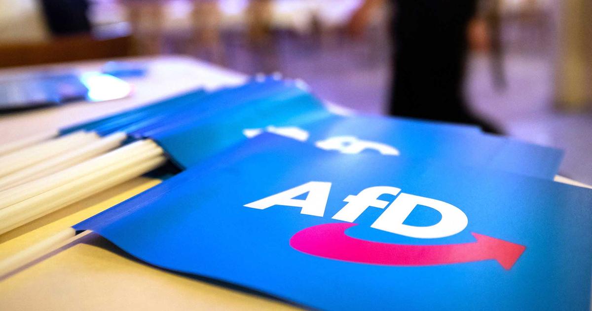 Video: Ausblick AfD 2024 - Morgenmagazin - ARD | Das Erste