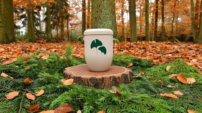 Urne im Wald