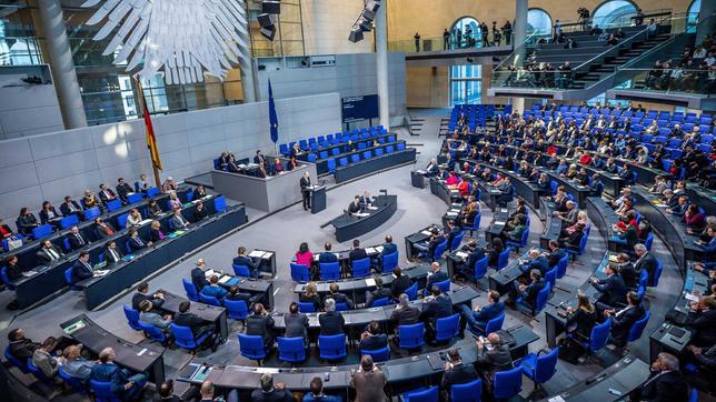 Bundestag, Parlament
