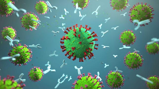 Corona-Virus und Antikörper