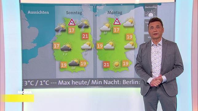 Donald Bäcker, Meteorologe