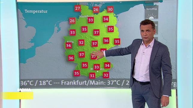 Donald Bäcker, Meteorologe