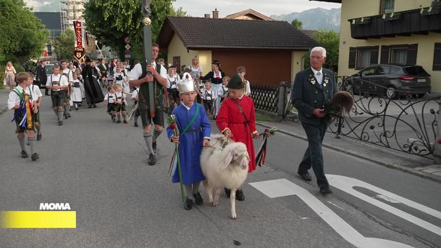 Fronleichnamsprozession mit Schaf im bayerischen Piding