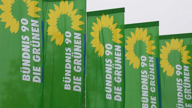 Die Grünen, Flaggen mit Parteilogo