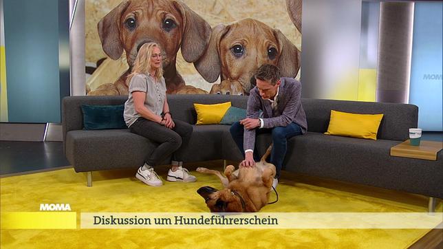 Hundetrainerin Gabi Klaassen mit Joker