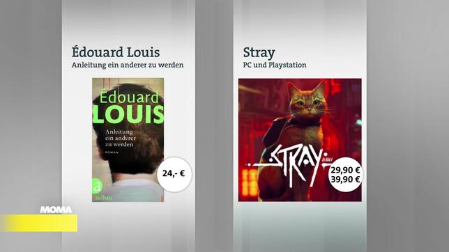 Edouard Louis: "Anleitung ein anderer zu werden" und das Katzen-Computerspiel "Stray"