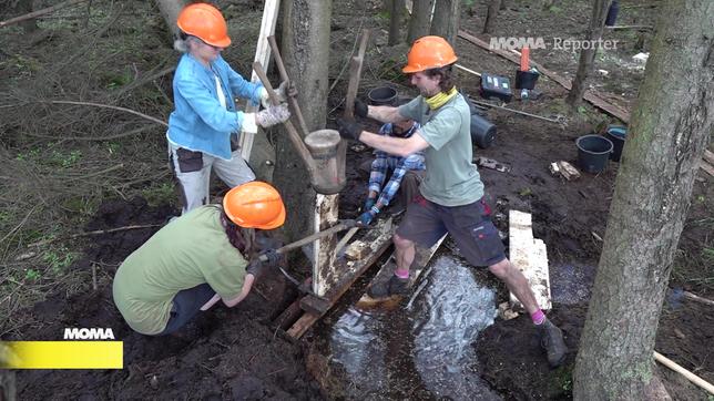 MOMA-Reporterin Christa Sauerland hilft beim Bau eines Stausdamms im Moor