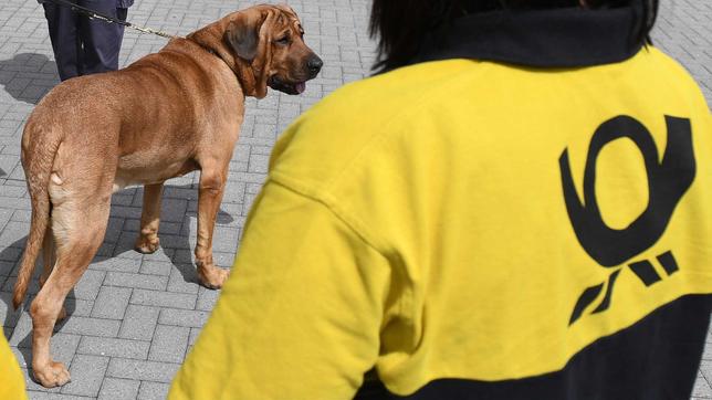 MOMA-Reporter: Hundetraining für Postboten