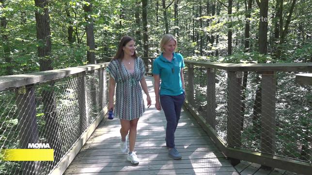 MOMA-Reporterin Sandra Jozipovic auf dem Baumwipfelpfad im Steigerwald.