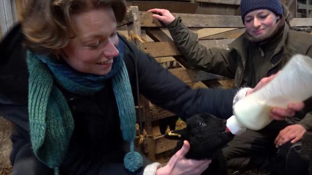 MOMA-Reporterin Barbara Kreuzer gibt einem Schaf die Flasche. 