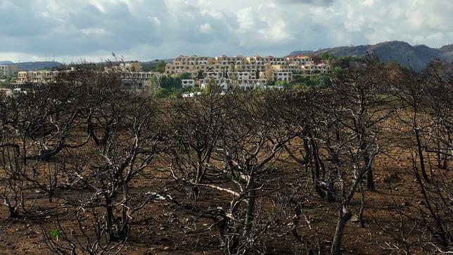 Die Folgen der Waldbrände sind auf Rhodos auch sechs Monate später noch überall sichtbar.