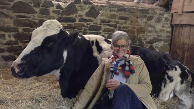 Christa Sauerland kuschelt mit einer Kuh