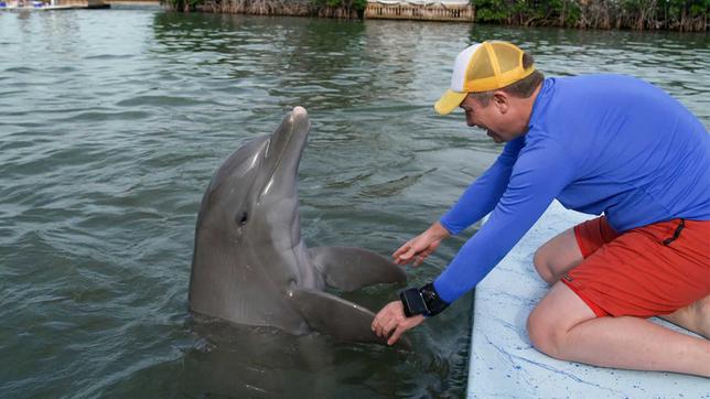MOMA-Reporter Torben Börgers gibt einem Delfin ein Kommando..
