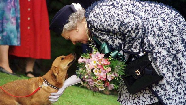 Queen Elizabeth II. und ihre Corgis