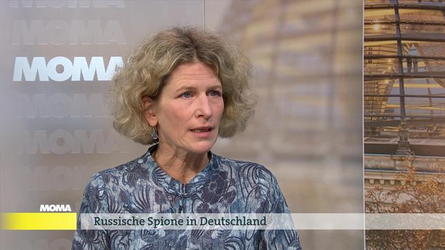 Sabine Fischer, Stiftung Wissenschaft und Politik