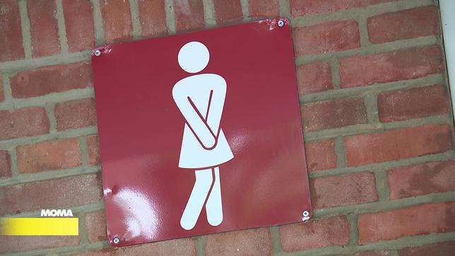 Schultoilette, 