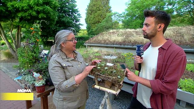 MOMA-Gartenbau-Ingenieurin Dorothée Waechter und Reporter Philipp Kappius begrünen ein Vogelhäuschen.