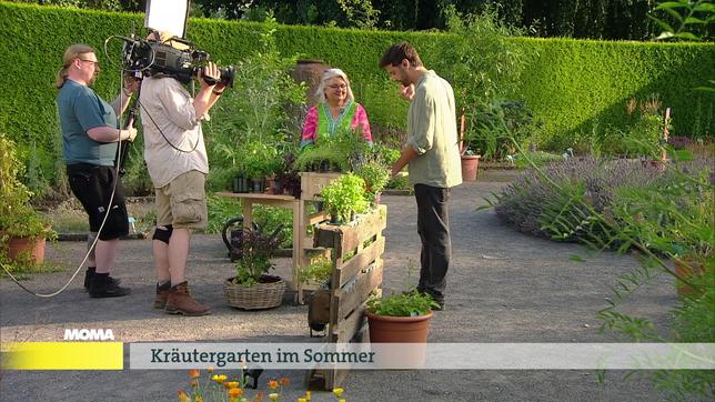 Kräutergarten im Sommer