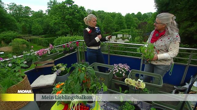 Julia Schöning und Dorothée Waechter machen den Balkon schön. 