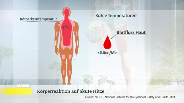 Sportschlau: Blutfluss bei Hitze