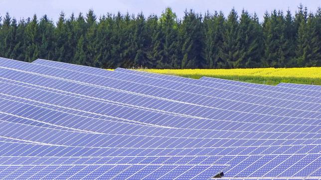 Bild: WDR Solarzellen auf einem Feld