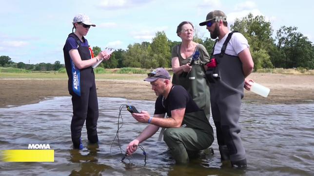 MOMA-Reporterin Griet von Petersdorff begleitet Wasserprüfer an der Oder.