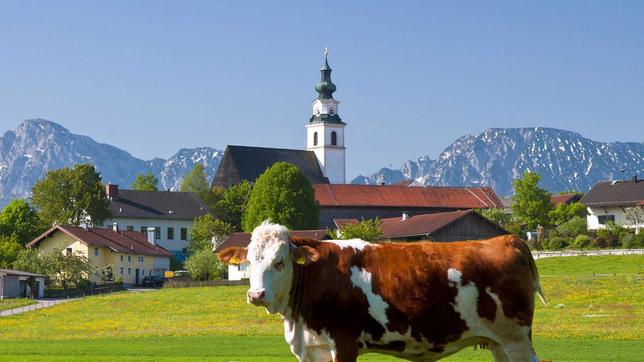 Landwirtschaft im Berchtesgadener Land