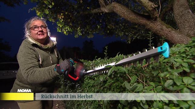 Gartenbau-Ingenieurin Dorothée Waechter schneidet eine Hecke