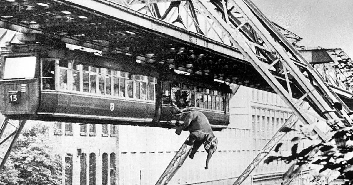 picture Wuppertal Schwebebahn Elefant zeitreise tuffis sprung morgenmagazin