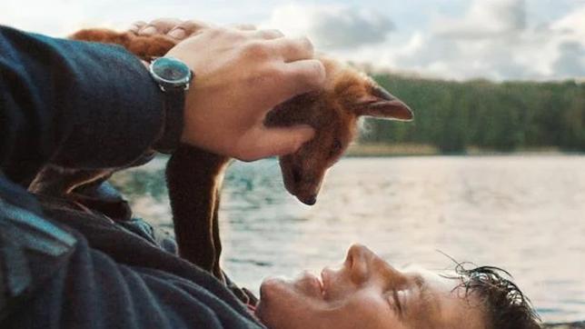 Bild: © Alamodefilm Simon Morzé in "Der Fuchs"