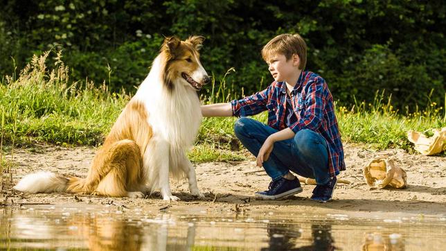 Bild: Warner Bros./dpa Szene aus "Lassie – Eine abenteuerliche Reise"