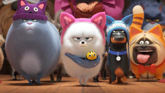 Bild: Universal Pictures Szene aus "Pets 2"