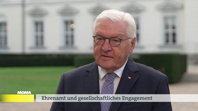 Frank-Walter Steinmeier, Bundespräsident