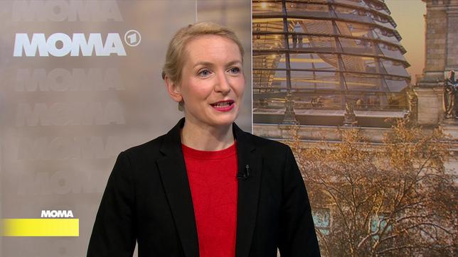 Ines Schwerdtner, Bundesvorsitzende Die Linke