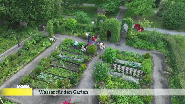 MOMA-Garten