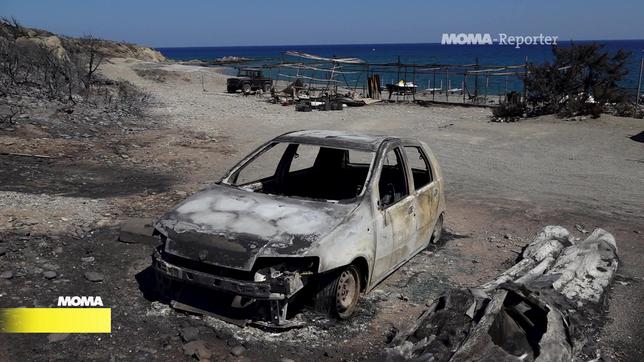 Verwüstung nach den Waldbränden auf Rhodos