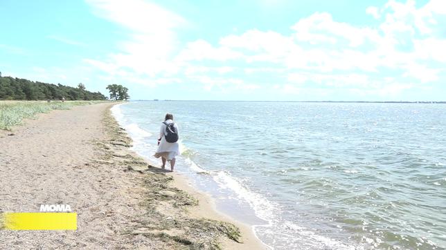 Spaziergang am Ostseestrand auf Rügen