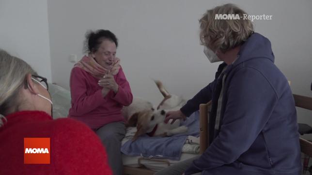 MOMA-Reporter, Hundebesuchsdienst Demenzkranke