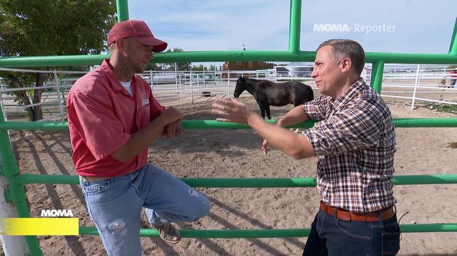 Strafgefangener und Reporter Torben Börgers bei der Zähmung wilder Mustangs