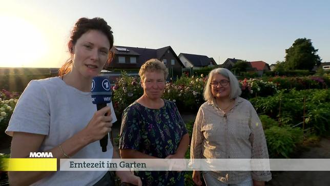 Erntezeit im Garten