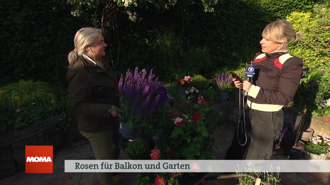 Dorothée Waechter, Julia Schöning