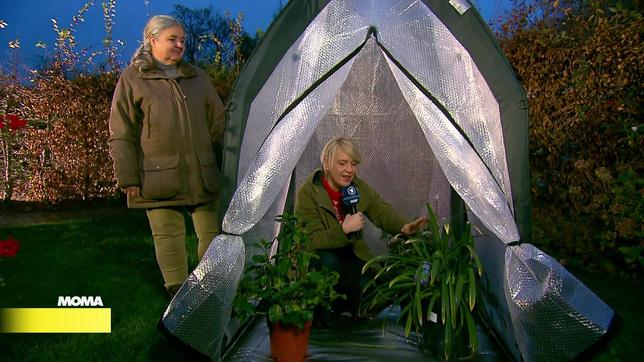 Gartenexpertin Dorothée Waechter, Reporterin Julia Schönin, Pflanzenzelt 