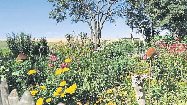 Bild: dpa/Robert Günther Naturgarten