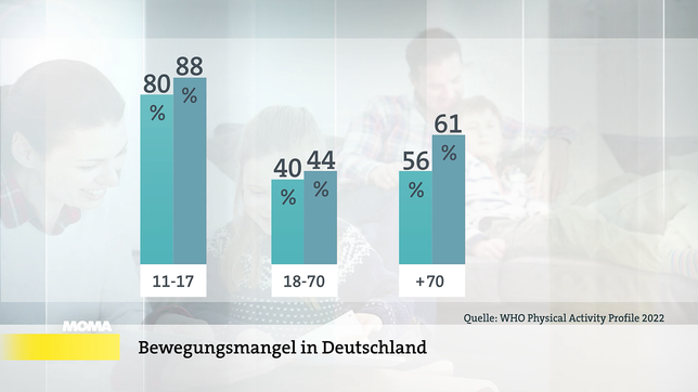 Sportschlau: Bewegungsmangel als Krankmacher